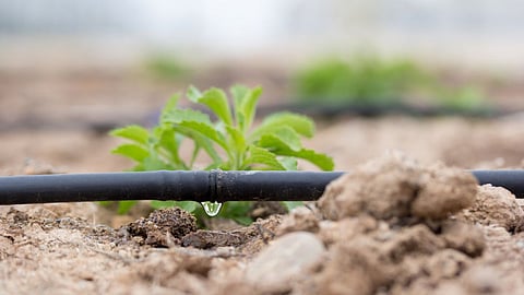 Irrigation Subsidy