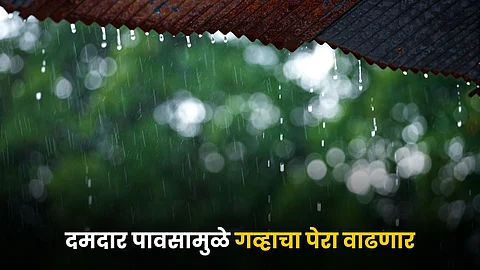 Rain