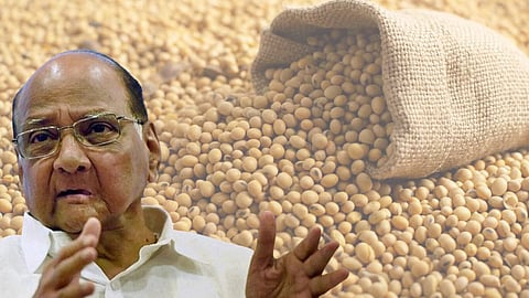 Soyabean Rate