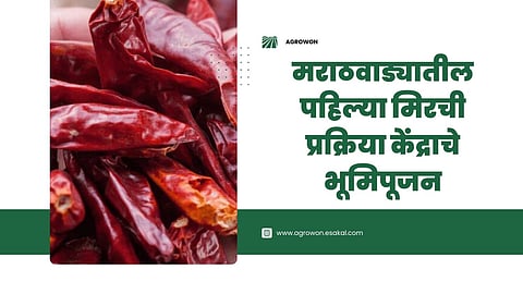 Chili Processing Center