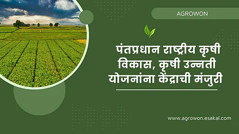 Agriculture Scheme