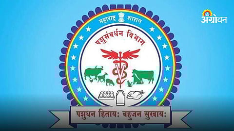 Animal Husbandry Department