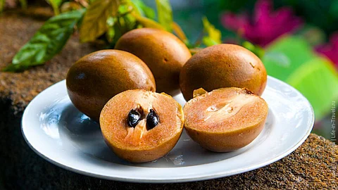 Sapota
