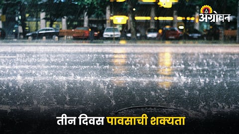 Rain