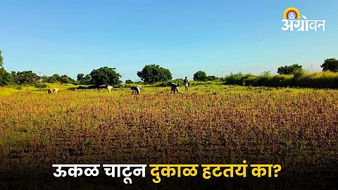 Agriculture