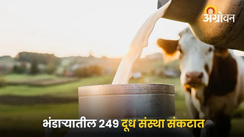 Dairy Society Issue
