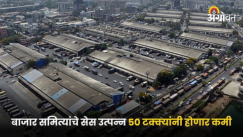 APMC Market