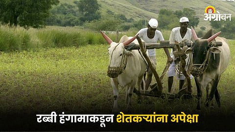 Indian Farmer