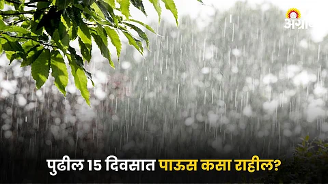 Rain Alert