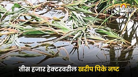 Kharif Crop Damage