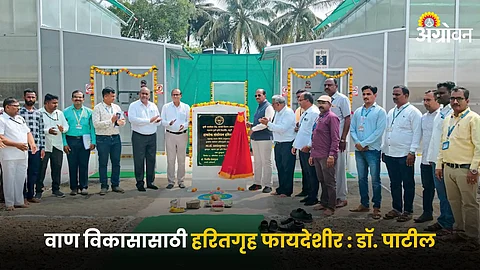 Greenhouse Project Inaguration