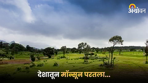 Monsoon
