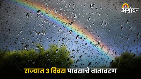 Rain