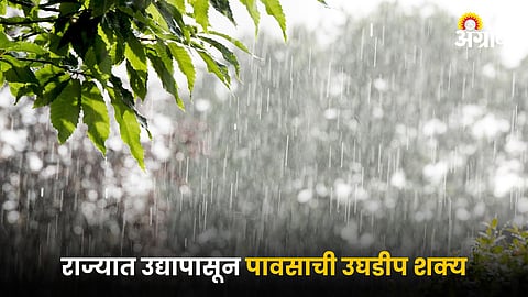 Rain