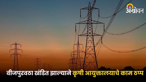 Electricity Issue