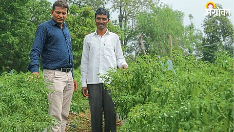 Agriculture Success Story