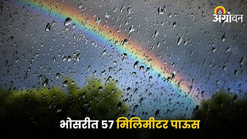 Rain