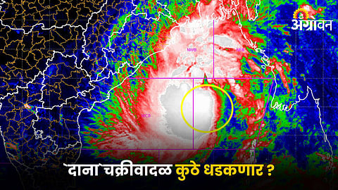 Dana Cyclone