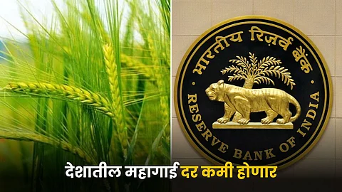 RBI Report