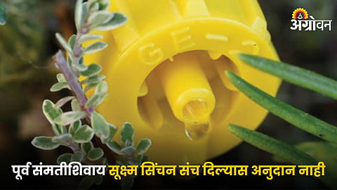 Micro Irrigation