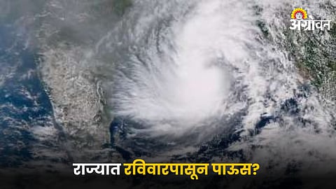 Dana Cyclone