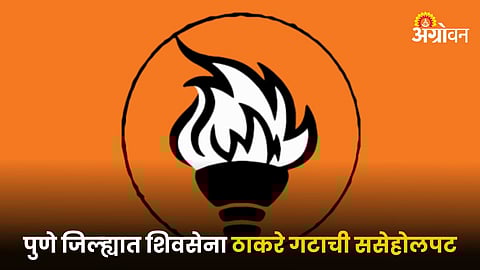 Shivsena UBT Group