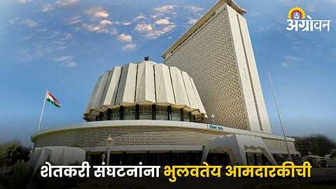 Vidhansabha Election 2024
