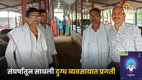 Dairy Business