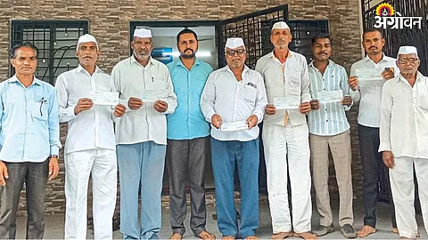 Cow Shed Subsidy