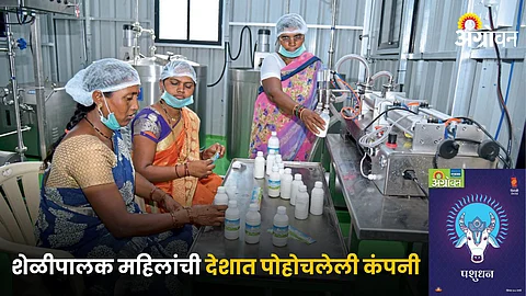 Savitribai Phule Female Goat Breeding Company