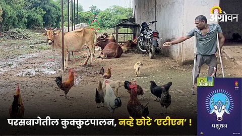 Poultry Farming