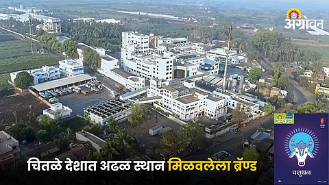 Chitale Dairy Industry