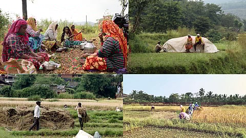 Farmers Deewali
