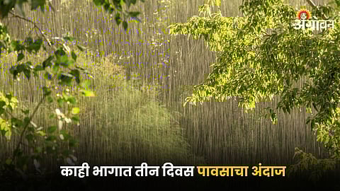 Maharashtra Rain