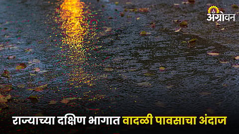 Rain Update