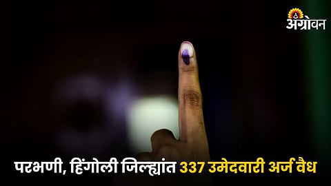Election