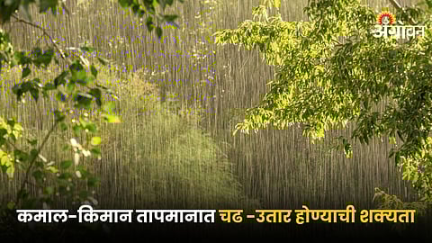 Rain