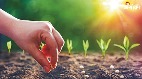 Seed Certification