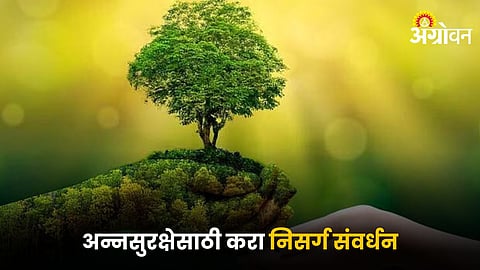 Nature Conservation