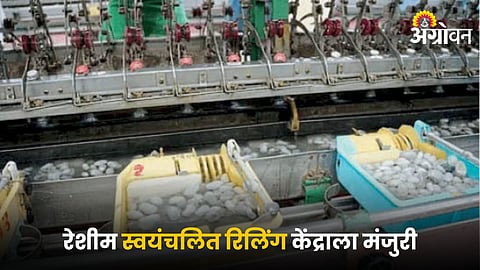 Automatic Silk Reeling Center