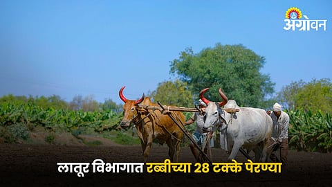 Rabi Season