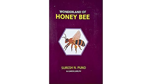 Wonderland of Honeybee