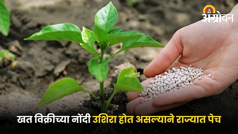 Agriculture Fertilizers