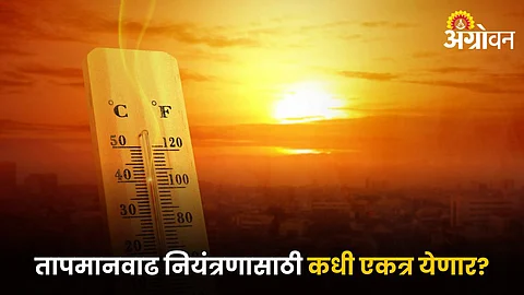 Temperature Rise