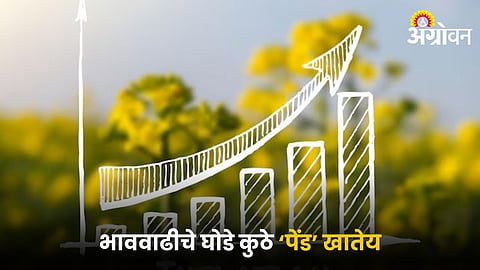 Agriculture Inflation