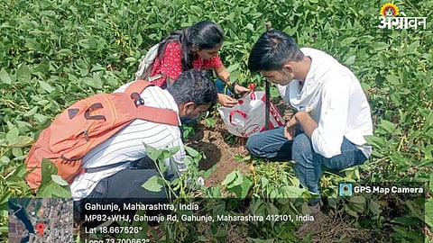 Digital Water Management