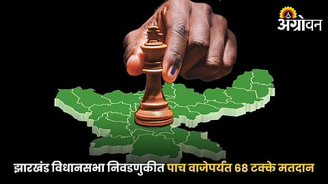 Jharkhand Assembly Election