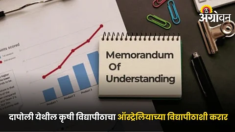 Memorandum of Understanding