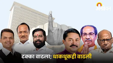 Maharashtra Assembly Election