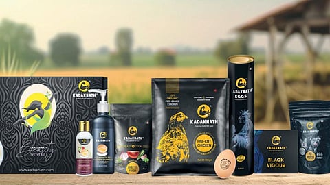 Poultry Industry